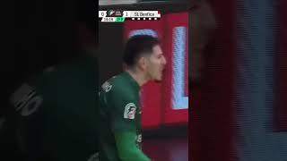 #futsal #benfica #ligaplacard #shorts #futbolsala #leões