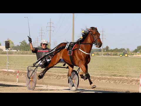 Kasačke trke Sombor 3.dan - 6.trka "Memorijal porodice Preradović” - 13.08.2023.