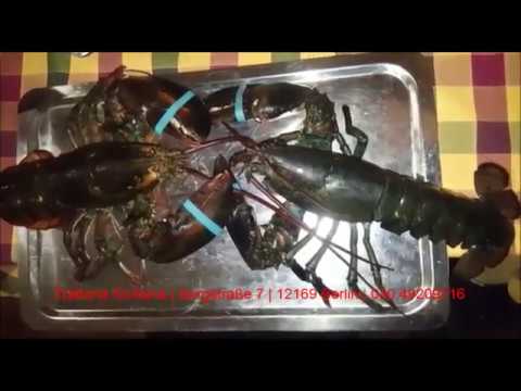 Hummer/ Lobster in Steglitz – Berlin Wilmersdorf - Charlottenburg - Abendessen für 15€ bis 20€