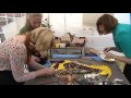 Newborough Well Dressing Petaling