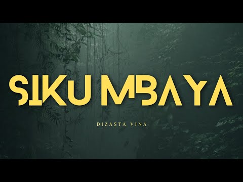 Dizasta Vina - Siku Mbaya