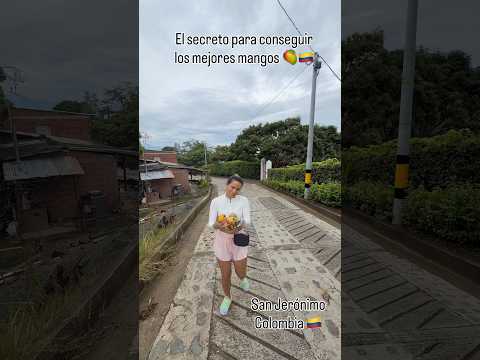 #SanJeronimo #Antioquia #EvanRitz #EresLoMejor #ViajeMusical #PadreEHijo #Mangos #Colombia