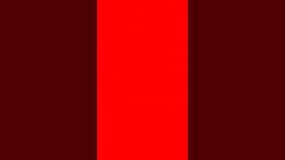 【TikTok】1週間のまとめ