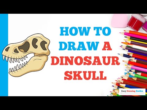 How to Draw a Dinosaur Skull: Easy Step by Step Drawing Tutorial for Beginners