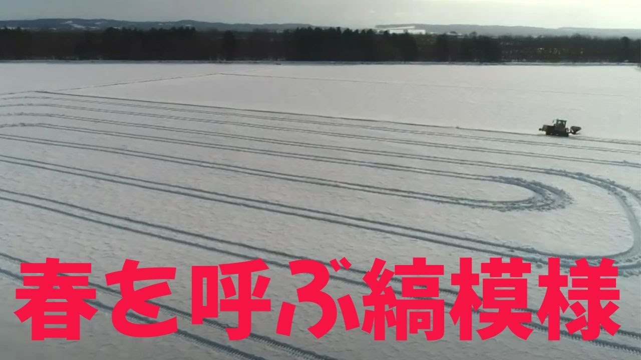 カメラマンスケッチ～春を呼ぶ縞模様～