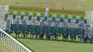 Zayin Angkor Centurion runs a gallant race in his second Group 1.