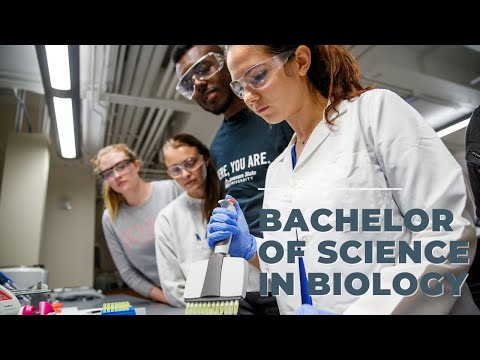 Learn More About the Bachelor of Science in Biology at Governors State University.