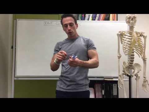 Joint Classification