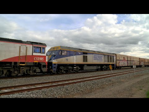 1PM9 Five Diesel Locomotive SCT Freight Train (18/8/2021) - PoathTV Australian Railways