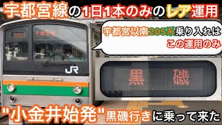 【宇都宮線の1日1本しかしか無いレア運用】宇都宮線"小金井"始発黒磯行きに乗って来た！(205系宇都宮以南乗り入れはこの運用のみ)