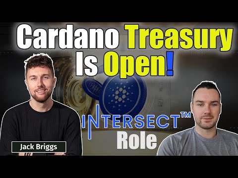 Cardano Treasury Withdrawals LIVE | Intersect Jack Briggs Explains