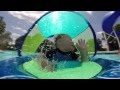 Gopro Baby Swimming