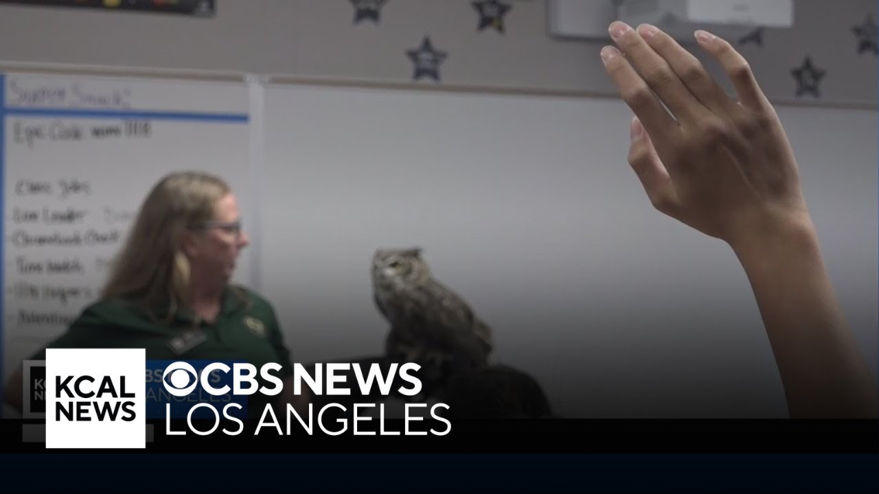 Educational program connecting Orange County students to local wildlife celebrates 50 years