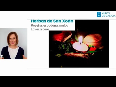 Vídeo: Verbas. Curso de lingua e cultura. Sesión 14