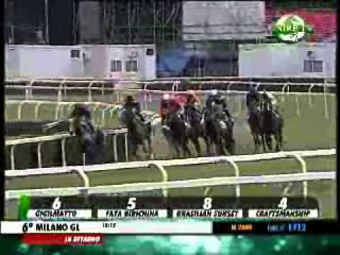 14/06/2014, Milano , Premio Frodolfo C.naz.