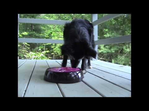 Johann Tests the Aikiou