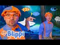 Blippi Feeding The Fishes Blippi Moonbug Kids Learning Corner