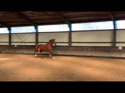 Glock’s Toto jr x D-Day