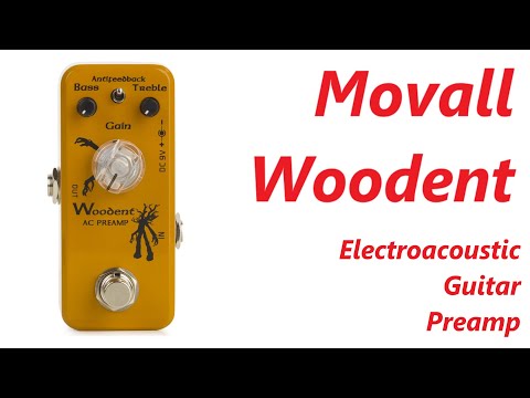 Movall AC Woodent - electroacoustic guitar preamp - Another Guitar Channel