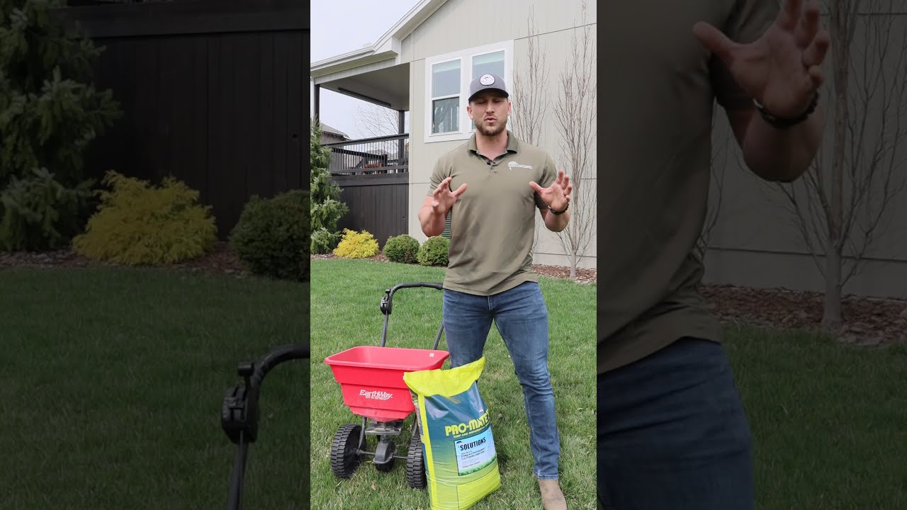Spring Lawn Care