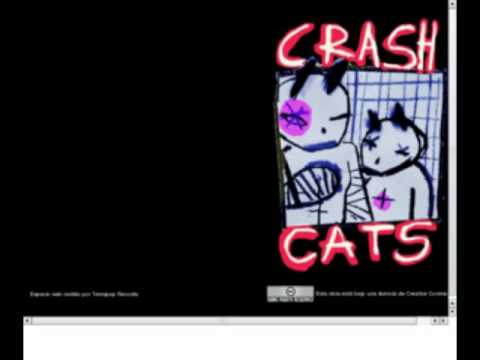 Crashcats - Los anyos