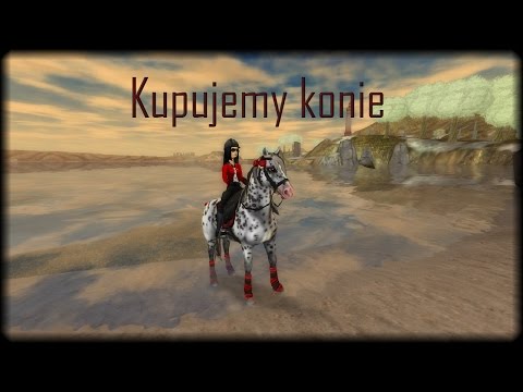 SSO - kupujemy 11 koni!