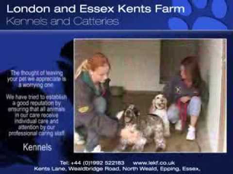 Leaving Pet at Boarding Kennels - Making the Right Choice...