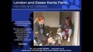 preview picture of video 'Leaving Pet at Boarding Kennels - Making the Right Choice...'