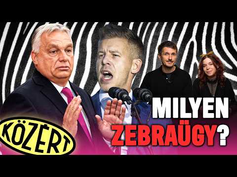 Zebrák mutatják meg, miben különbözik a Tisza és a Fidesz stratégiája