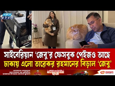 তারেক রহমানের সঙ্গেই বিশেষ ব্যবস্থায় ঢাকায় এল পোষা বিড়াল ‘জেবু’ | Tarek Rahman  Jebu | Ekushey TV