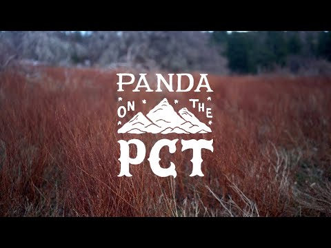 Panda on the PCT | Episode 1