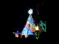 Christmas Tree Lighting Wmv