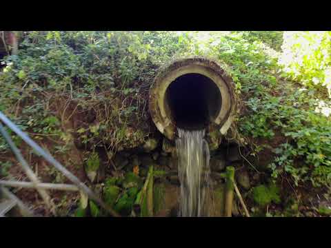 Elniakampio sodyba #2