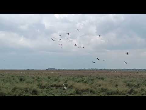 2) De Bogotá a Puerto Carreño - ETAPA 2: Paz de Ariporo - La Hermosa