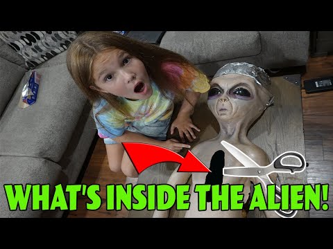 What's Inside The Alien? Cutting Open The Alien In Our Woods!
