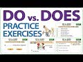 DO vs. DOES | English Exercises | Learn English DO vs DOES | ESOL practice exercises