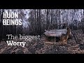 Huon Beings - The Biggest Worry | Huon Valley Tasmania