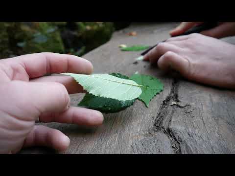 Jungle Monkeys Survival Kit die 48h Challenge