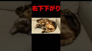 右下に下がりまくるだけの男 #よしなま #切り抜き