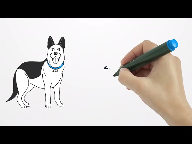 Vídeo relacionado con Vendedores perros: No necesitas ser un perro de ataque para tener éxito en las ventas