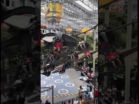 They laugh at auntie during ride malfunction. #laugh #malfunction #fair #amusementpark #fypシ #fun