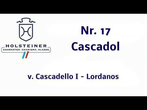 Holsteiner Körung 2019 - Nr. 17 Cascadol