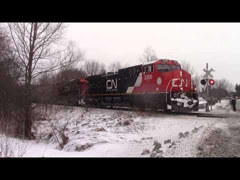 End Of Year 𝐓𝐑𝐀𝐍𝐃𝐄𝐌𝐎𝐍𝐈𝐔𝐌 at St. John's SideRoad in Pine Orchard