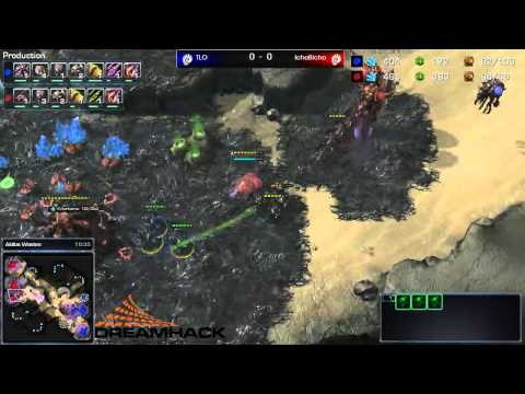 DH Summer 2013 - TLO(Z) vs IchoBicho(Z) G1