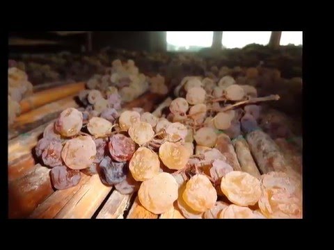 Production of Il Poggione Vin Santo Sant'Antimo DOC Riserva