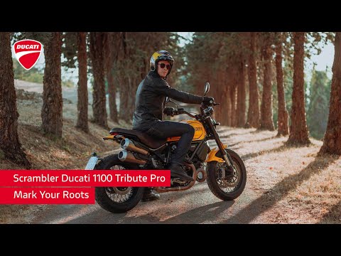 2022 Ducati Scrambler 1100 Tribute PRO in Greer, South Carolina - Video 2
