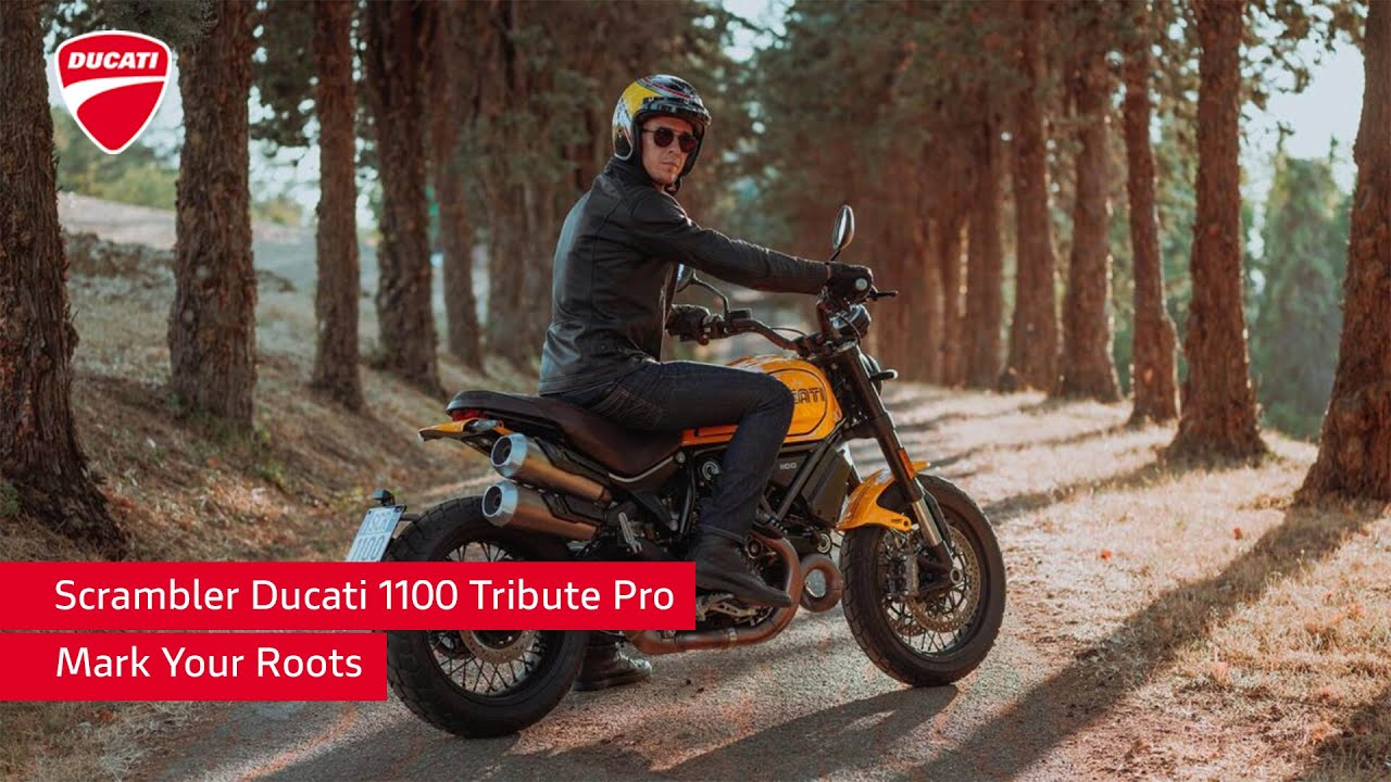 Scrambler 1100 Tribute Pro