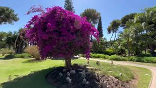 #Marbella Don Carlos Resort & Spa | Tropicals Gardens in Marbella | Don Carlos B