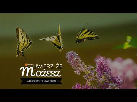 Kartky x Quebonafide - Dopóki Nie Padnę (BraKe Blend)