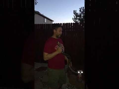 Rosh Chodesh - Av - 2018